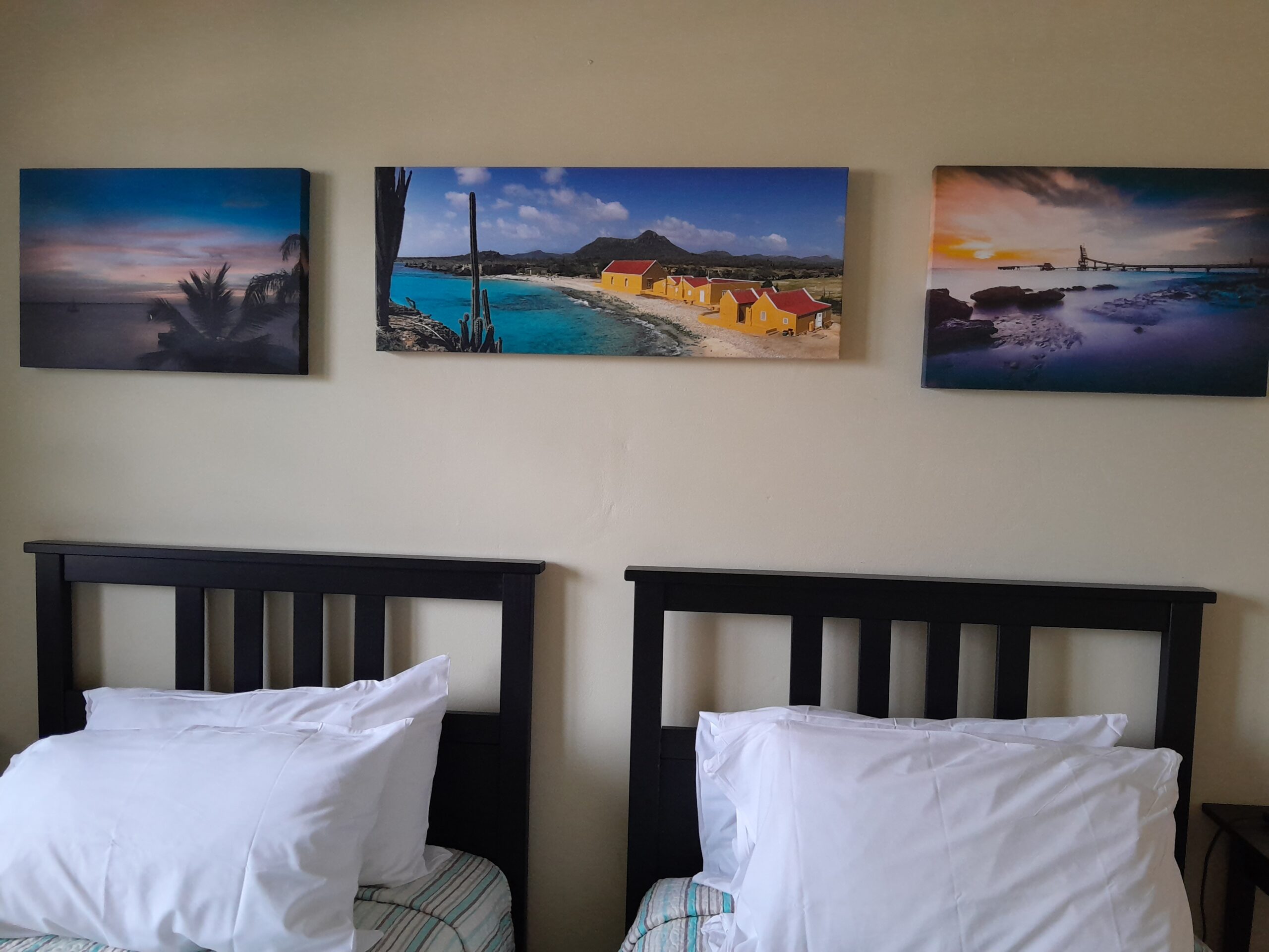 20230512_135328 scaled