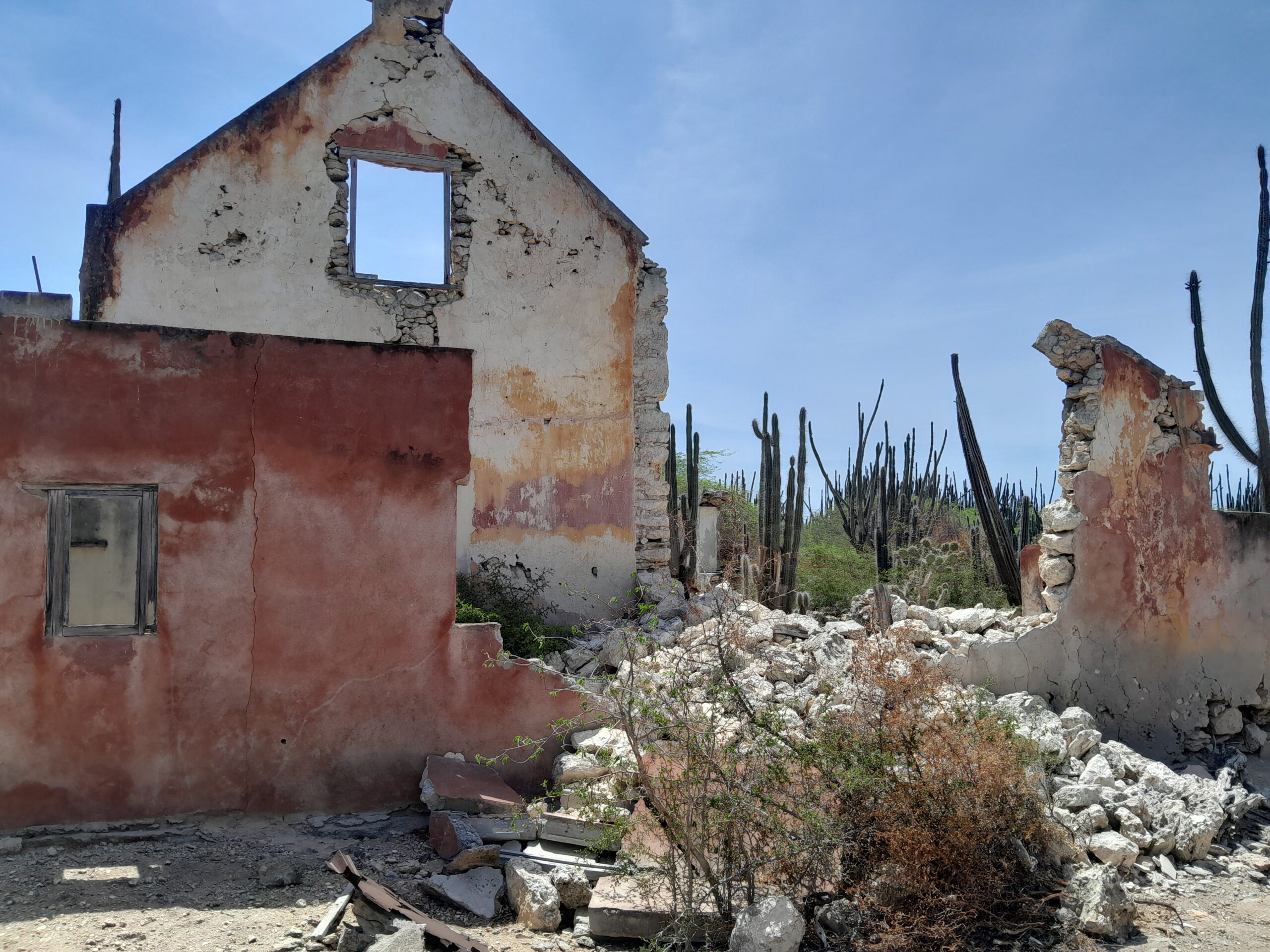 20240815_110453 scaled