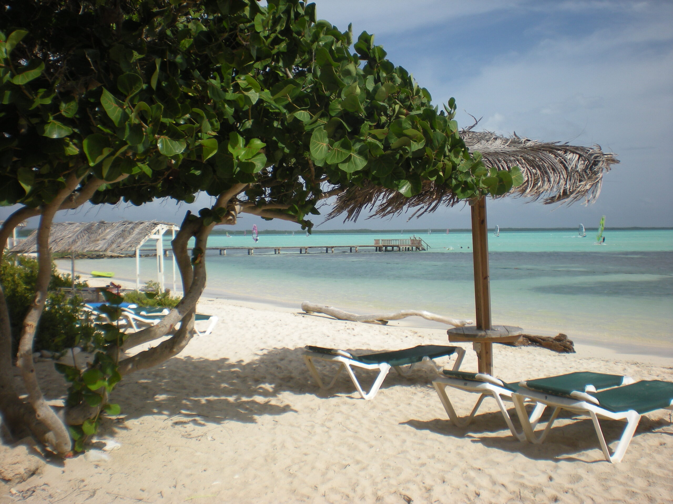 DSCN0064 2019_09_11 16_20_10 UTC scaled