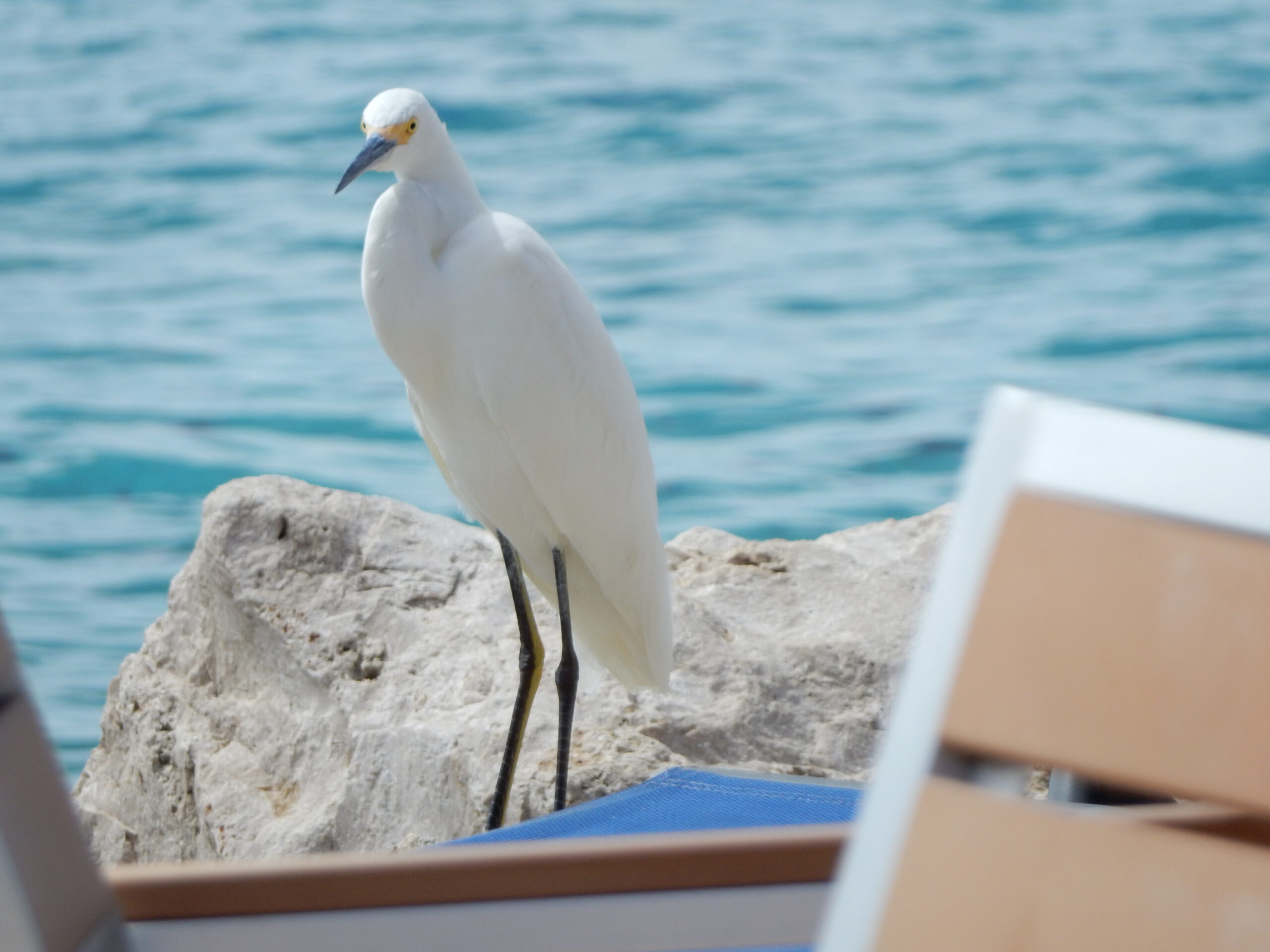 DSCN0478 2019_09_11 12_58_51 UTC scaled