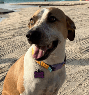 Untitled design (63)