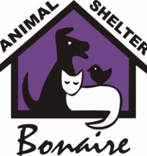 Untitled design (64)