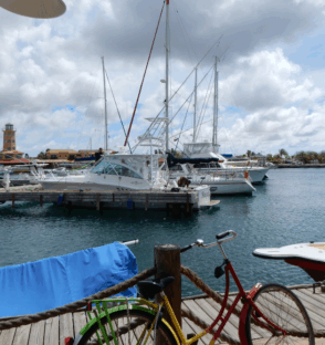 Untitled design (69)