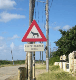 Untitled design (70)