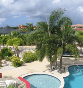 Untitled design (71)