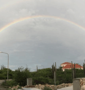 Untitled design (72)